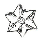 Dollhouse Miniature Large Star ( 4 Per Pack)